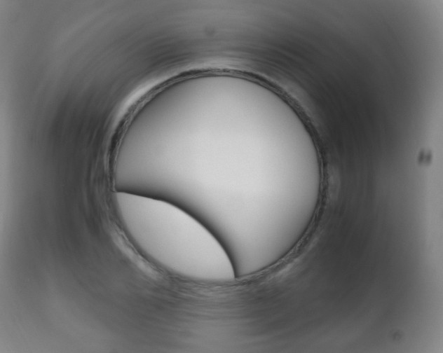 X0000112510982200908171043