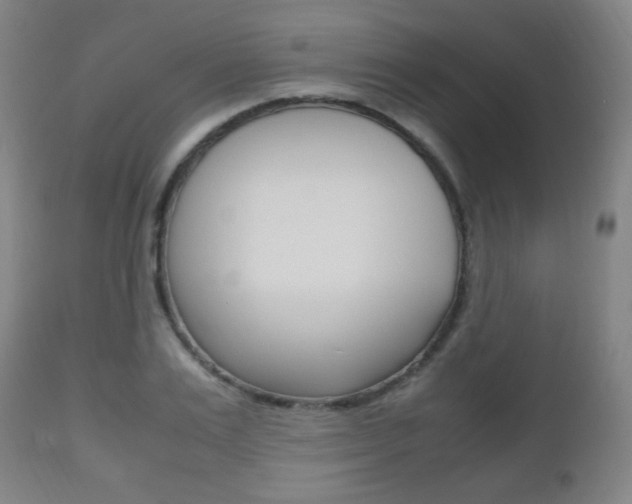 X0000112510983200908171043