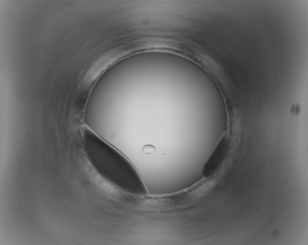 X0000112510985200908171043