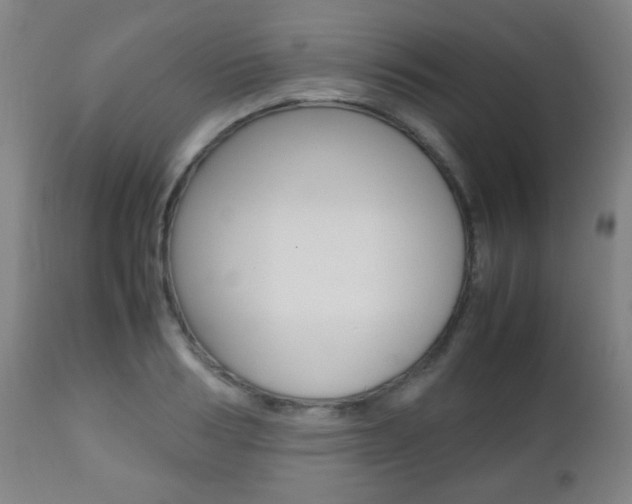 X0000112510986200908171043