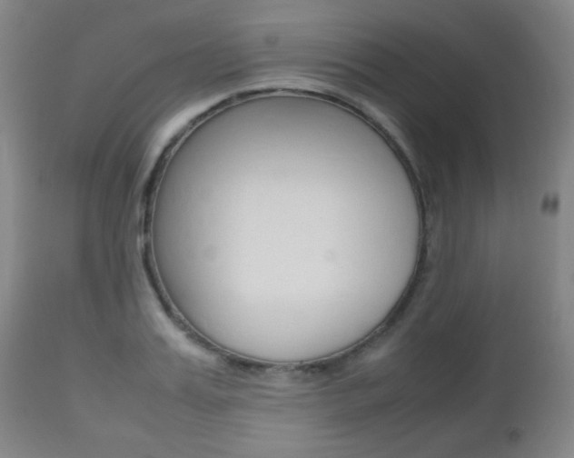 X0000112510987200908171043
