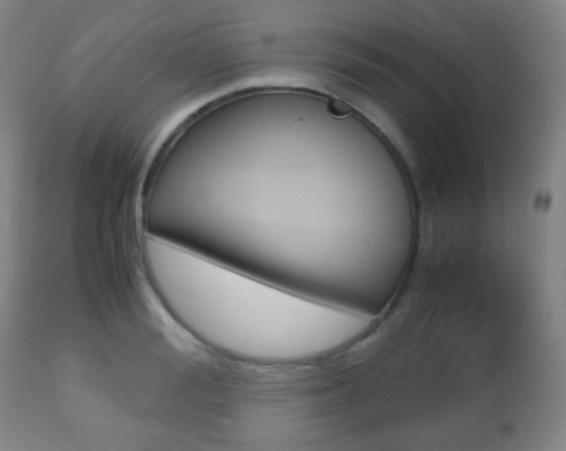 X0000112510988200908171043