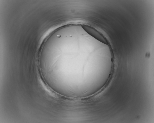 X0000112510989200908171043