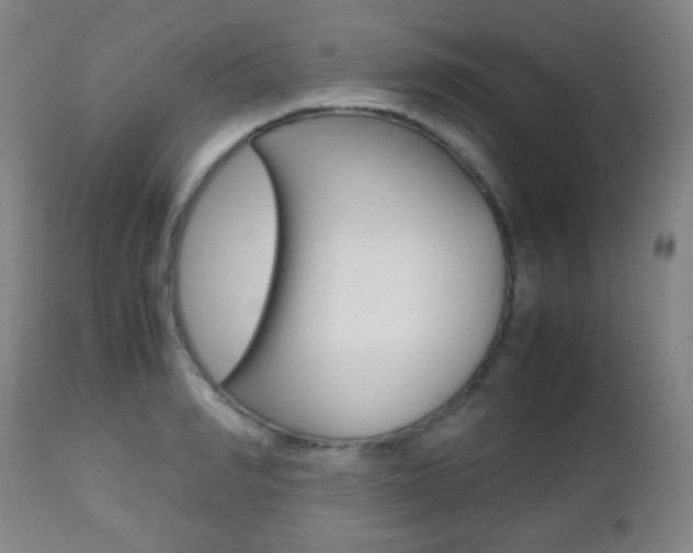 X0000112510990200908171043