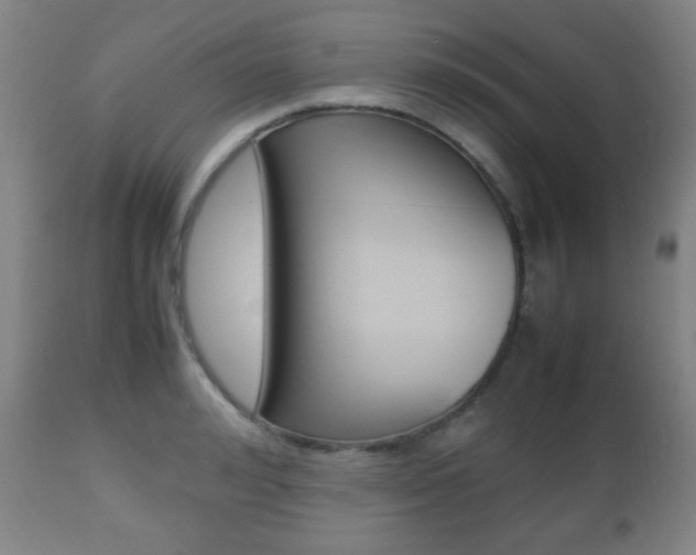 X0000112510992200908171043