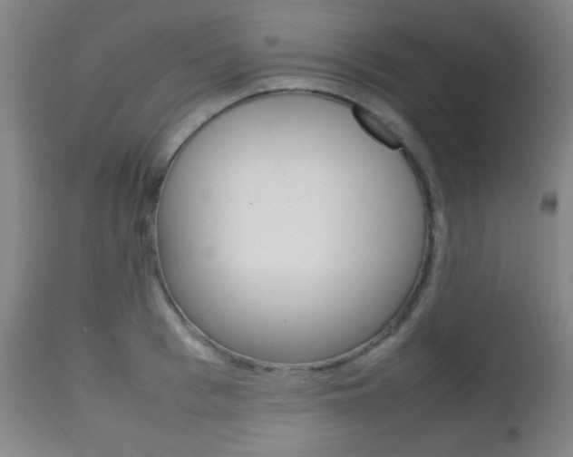 X0000112510993200908171043