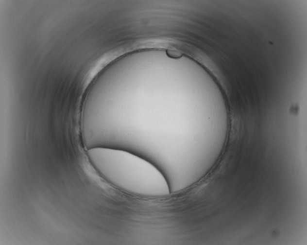 X0000112510994200908171043
