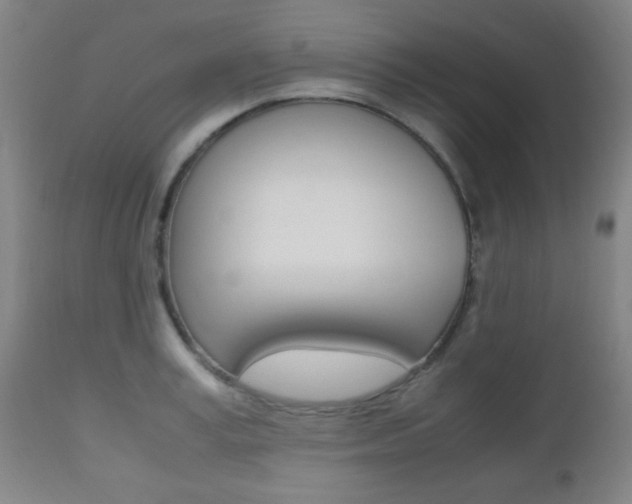 X0000112510995200908171043