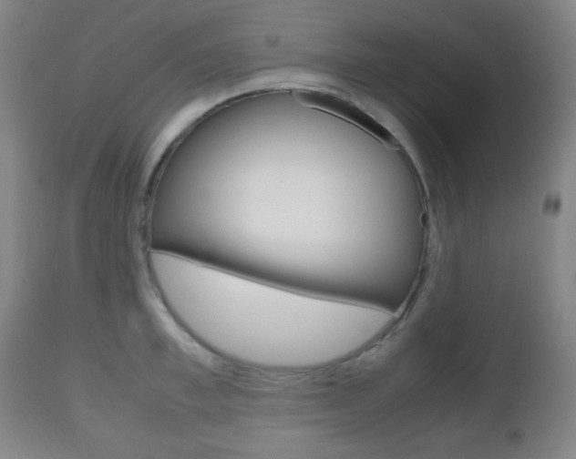 X0000112510997200908171043