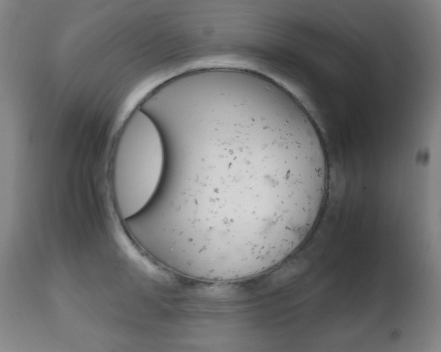 X0000112510998200908171043