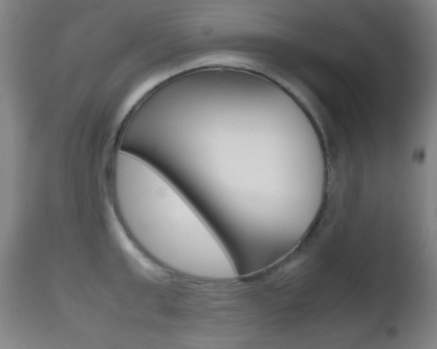 X0000112510999200908171043