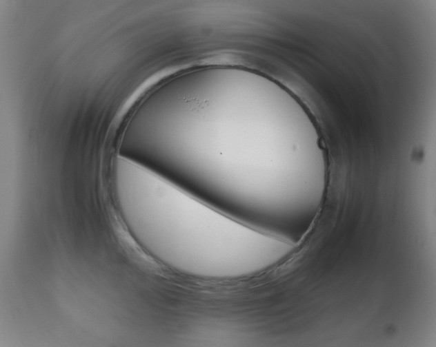X0000112511000200908171043