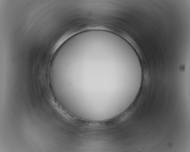 X0000112511002200908171043