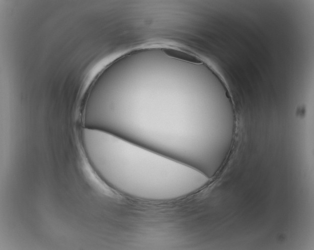 X0000112511003200908171043