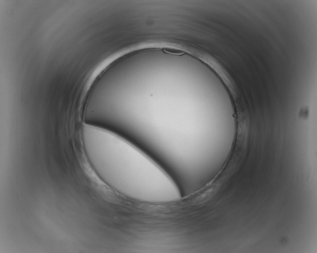 X0000112511004200908171043