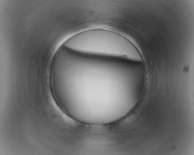 X0000112511007200908171043