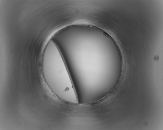 X0000112511008200908171043