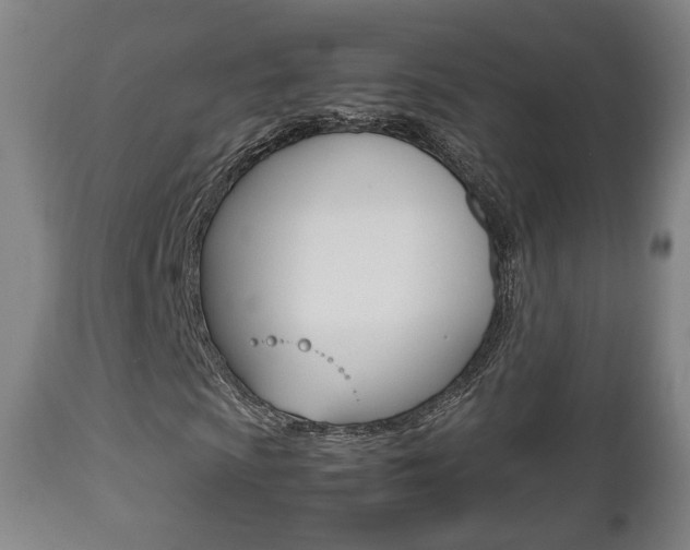 X0000112511009200908171042