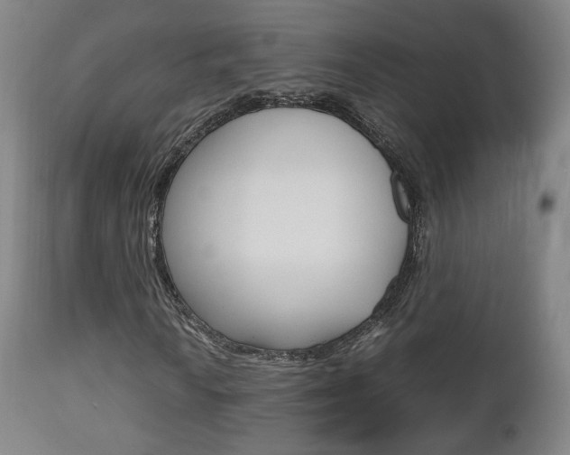 X0000112511010200908171042