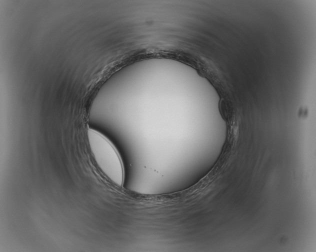 X0000112511012200908171042
