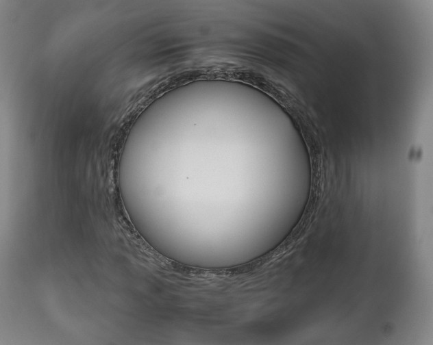 X0000112511013200908171042
