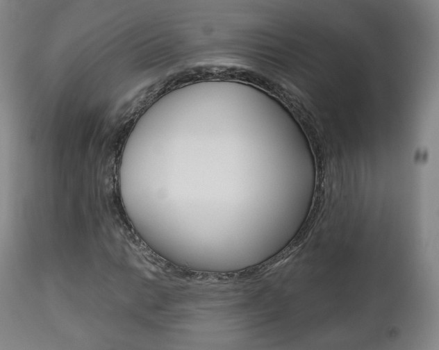 X0000112511014200908171042