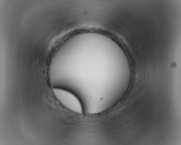 X0000112511016200908171042
