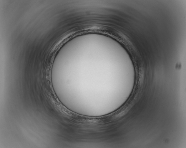 X0000112511017200908171042