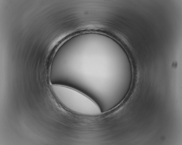 X0000112511018200908171042