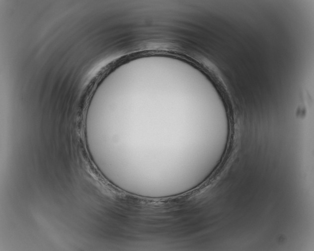 X0000112511019200908171042