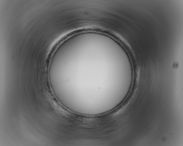 X0000112511021200908171042