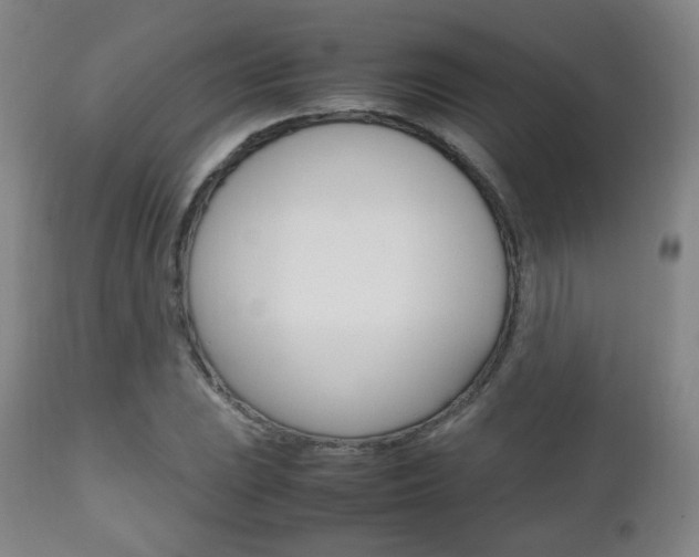 X0000112511023200908171042