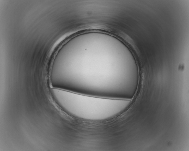 X0000112511024200908171043
