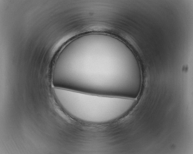 X0000112511026200908171043