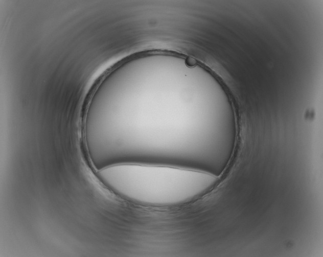 X0000112511028200908171043