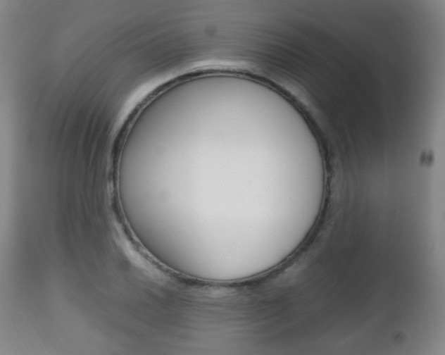 X0000112511030200908171043