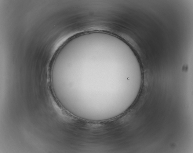 X0000112511031200908171043