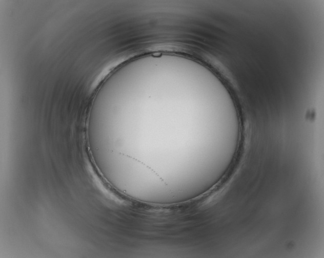 X0000112511033200908171043
