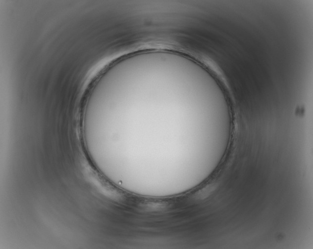 X0000112511035200908171043
