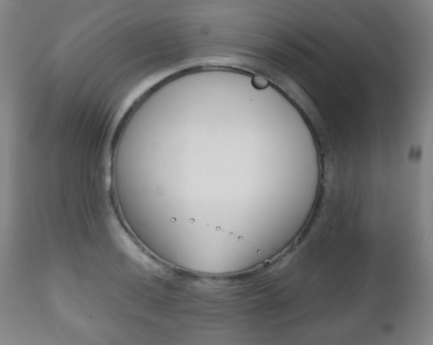 X0000112511036200908171043