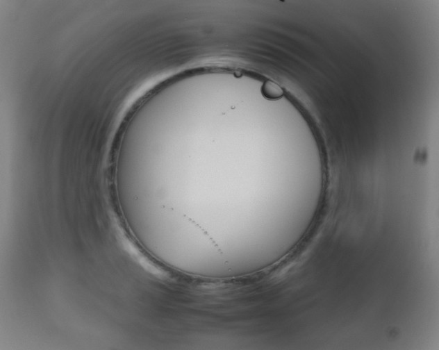 X0000112511037200908171043