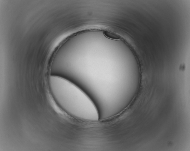 X0000112511038200908171043