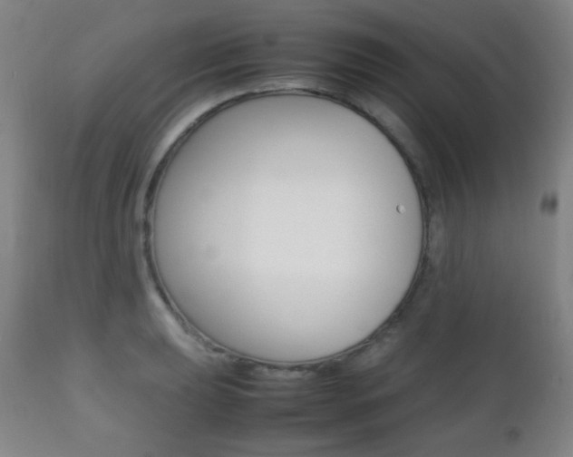 X0000112511039200908171043