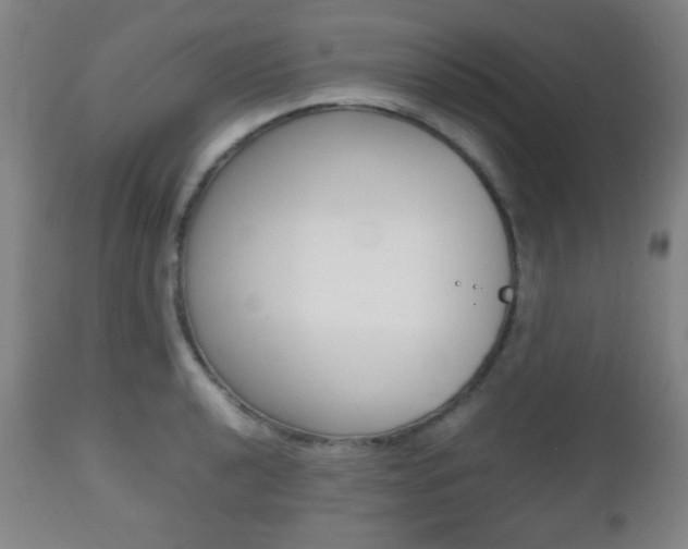 X0000112511040200908171043