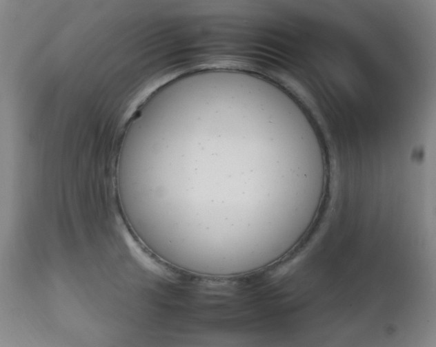 X0000112511041200908171043