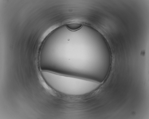 X0000112511042200908171043