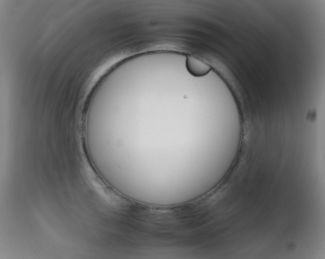 X0000112511043200908171043