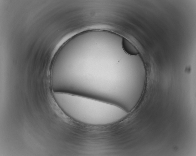 X0000112511044200908171043