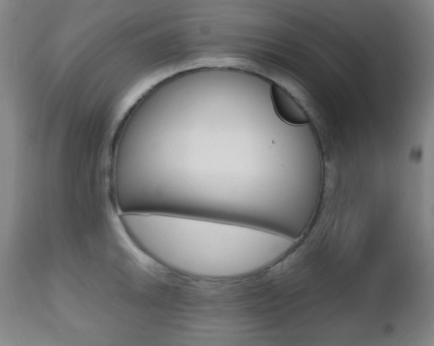 X0000112511046200908171043