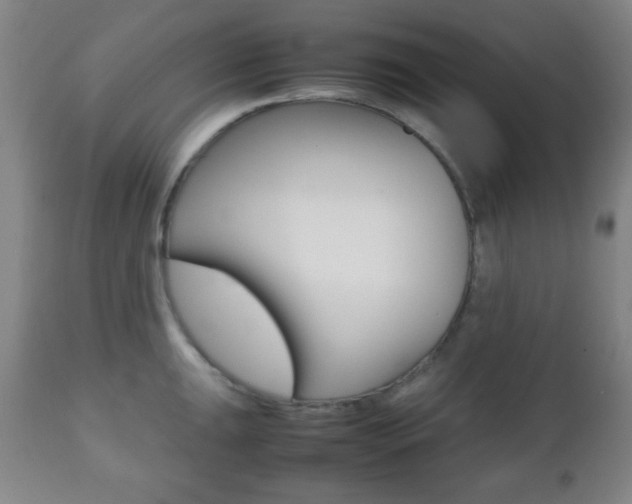 X0000112511047200908171043